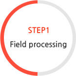 STEP1 Field processing